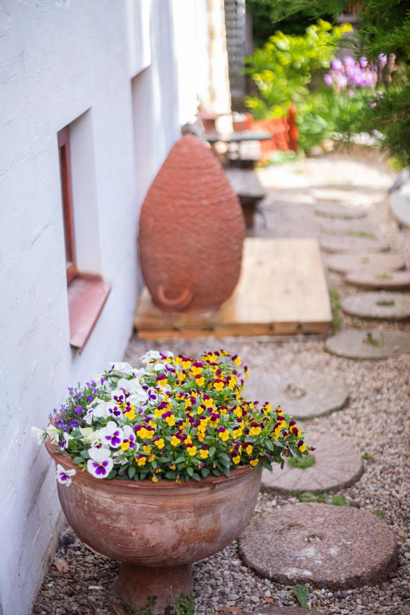 House Of Sun Bed and Breakfast VNO Eksteriør billede